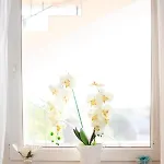 Apartmán App Roko 2 *