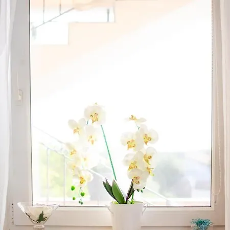 Apartman App Roko 2 *
