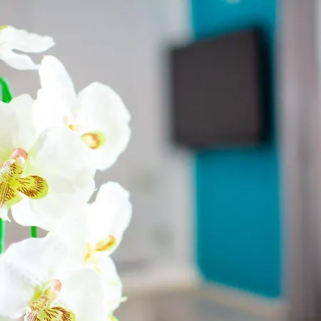 Apartman App Roko 2 *